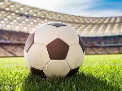 意媒曝,尤文欲签贝,尔加利,EVO真人视讯,EVO真人,(Sports),EVO视讯官网,EVO真人官方平台