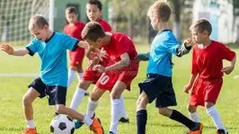 EVO真人 (Sports) 资讯 131910 77c