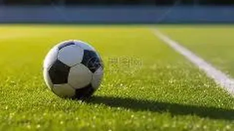 EVO真人 (Sports) 产品 100409 hvf