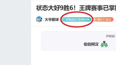 诺维奇主场激战布莱克本，力争共享胜利果实！