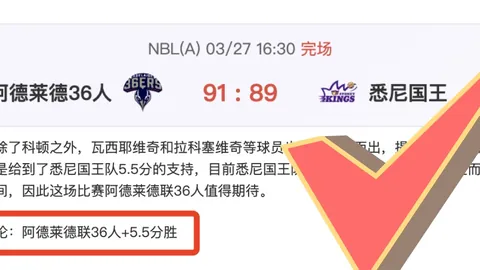 周六009国际赛分析：苏格兰对决日本专家推荐